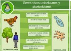 Los seres vivos unicelulares y pluricelulares | Recurso educativo 35637