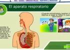 El aparato respiratorio | Recurso educativo 35660