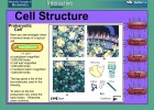 Video game: Cell Structure | Recurso educativo 39901