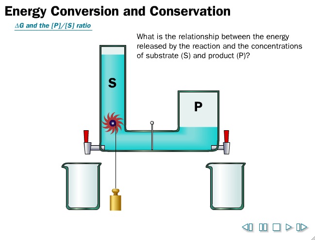 Video: Energy Conversion and Conservation, the water wheel | Recurso educativo 39948