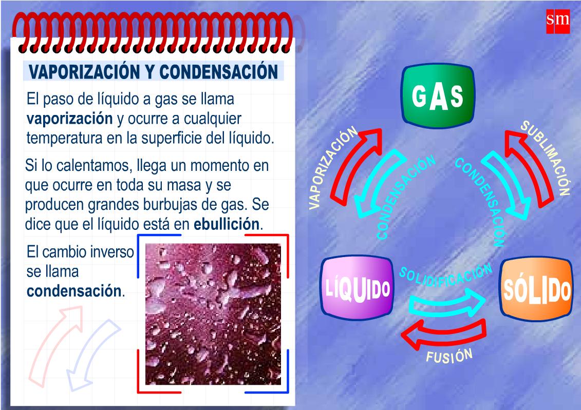 Cambio de estado del agua | Recurso educativo 41527