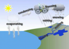 Song: The water cycle | Recurso educativo 42536