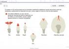 La evolución del cerebro | Recurso educativo 43378