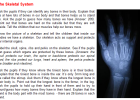 The skeletal system | Recurso educativo 45629