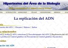 Replicació de l'ADN | Recurso educativo 49510