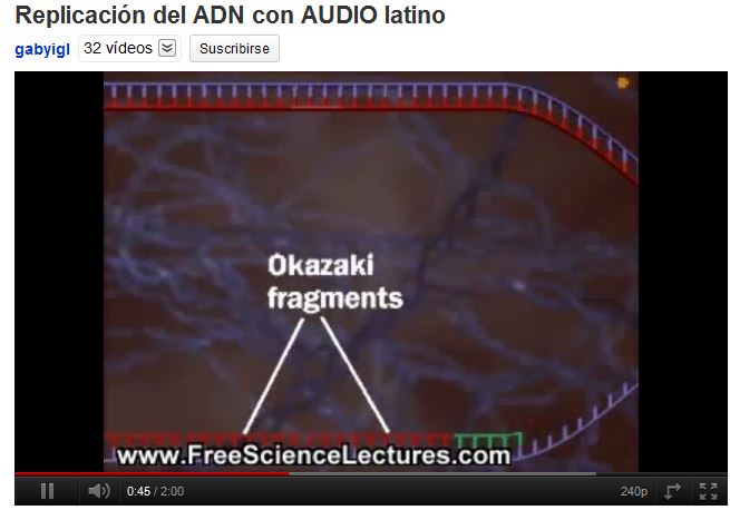 Replicació de l'ADN | Recurso educativo 49513