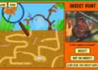 Insect hunt | Recurso educativo 21443