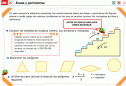 Áreas y perímetros | Recurso educativo 21557