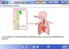 La membrana mucosa | Recurso educativo 2490