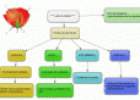 Las flores | Recurso educativo 31270