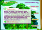 Jungle journey | Recurso educativo 67580