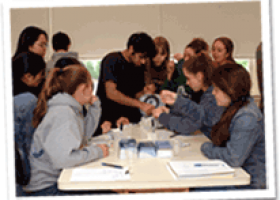 DNA Learning Center | Recurso educativo 97673