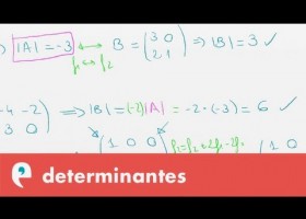 Determinantes: propiedades I | Recurso educativo 109464