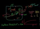 Membrane potentials - part 1 | Recurso educativo 117485