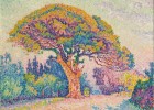 Signac's Pine Tree at Saint Tropez | Recurso educativo 768309